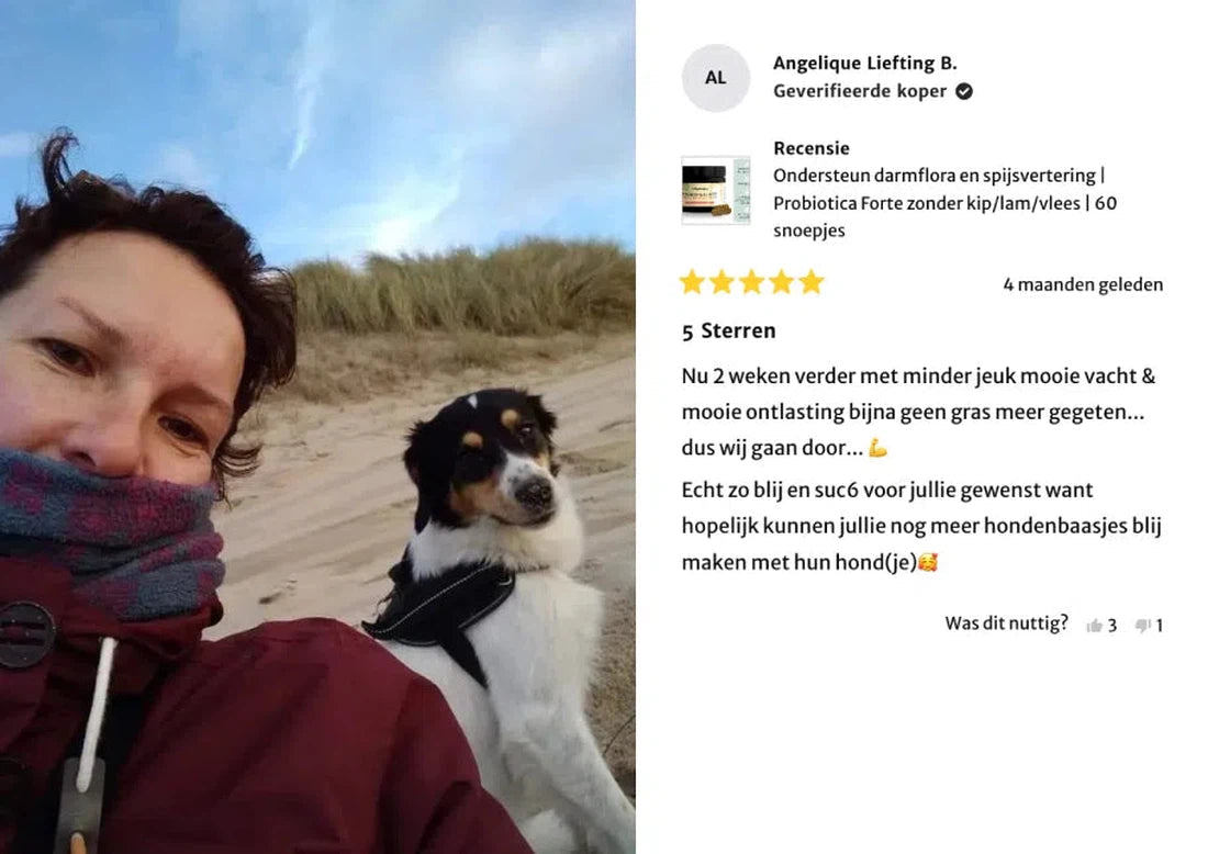 Anti-Jeuk Probiotica met rund | 100% natuurlijk | 60 snoepjes