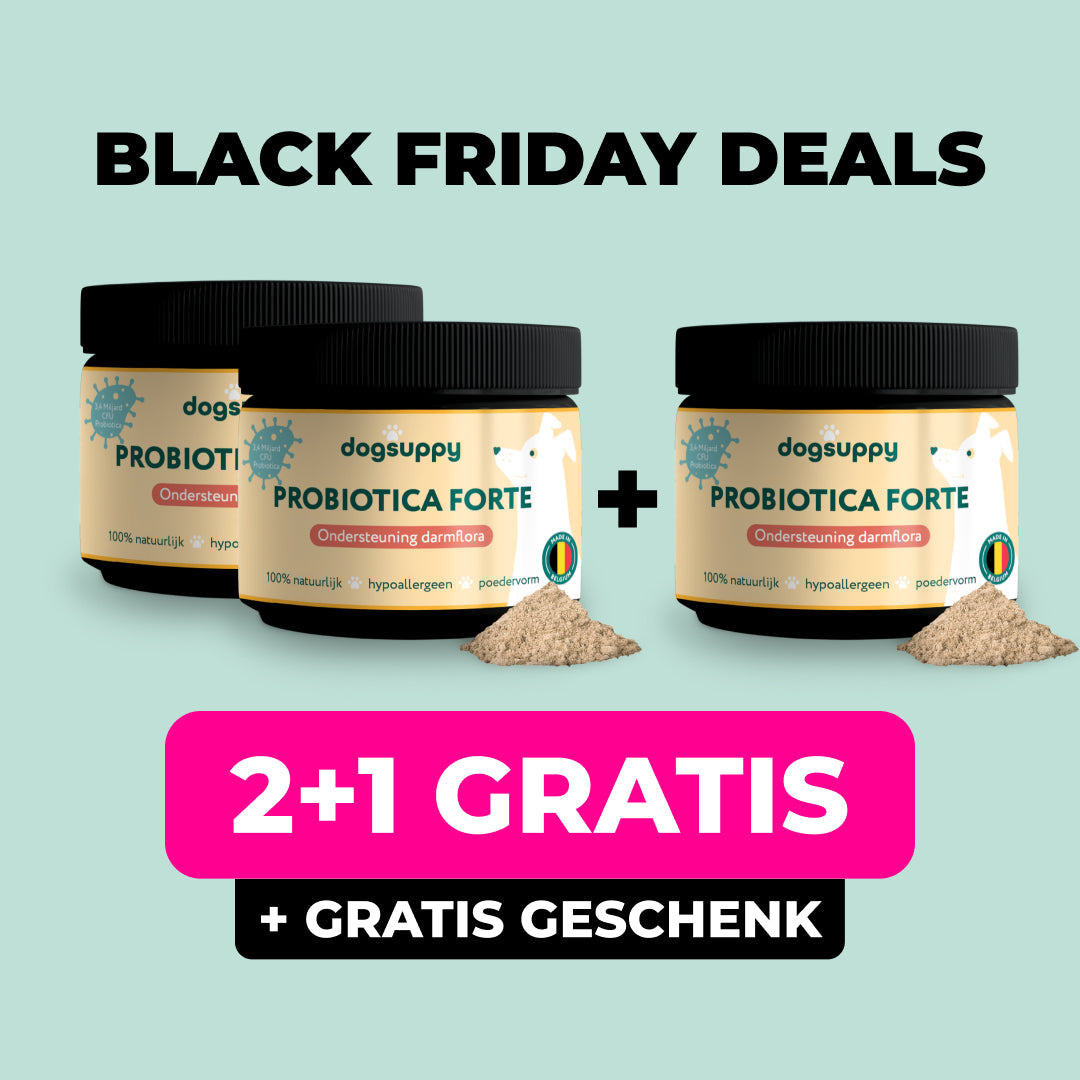 Probiotica Forte poeder | Bevat GEEN zetmeel en eiwitten | Hypoallergeen | 180 gram