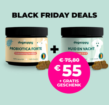 Probiotica Forte & Huid en Vacht bundel