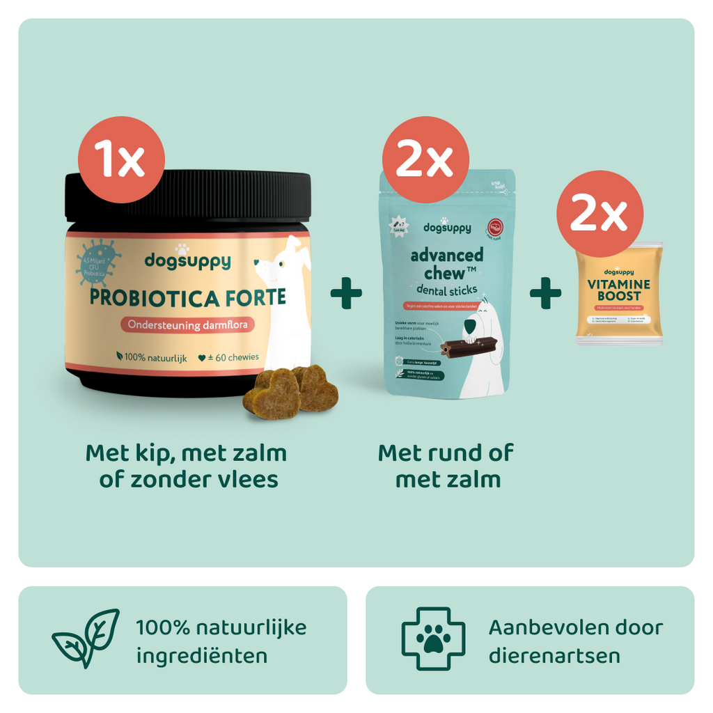 [BUN] Boost bundel