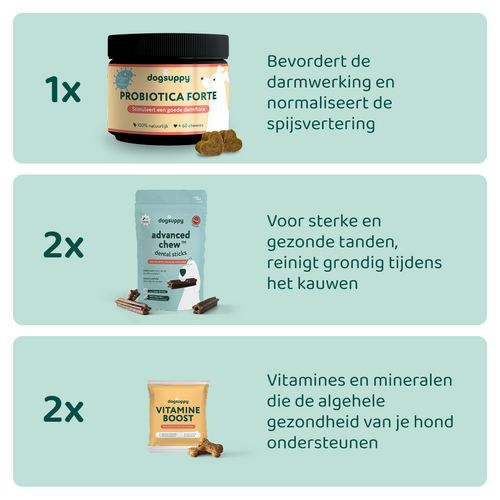 [BUN] Boost bundel