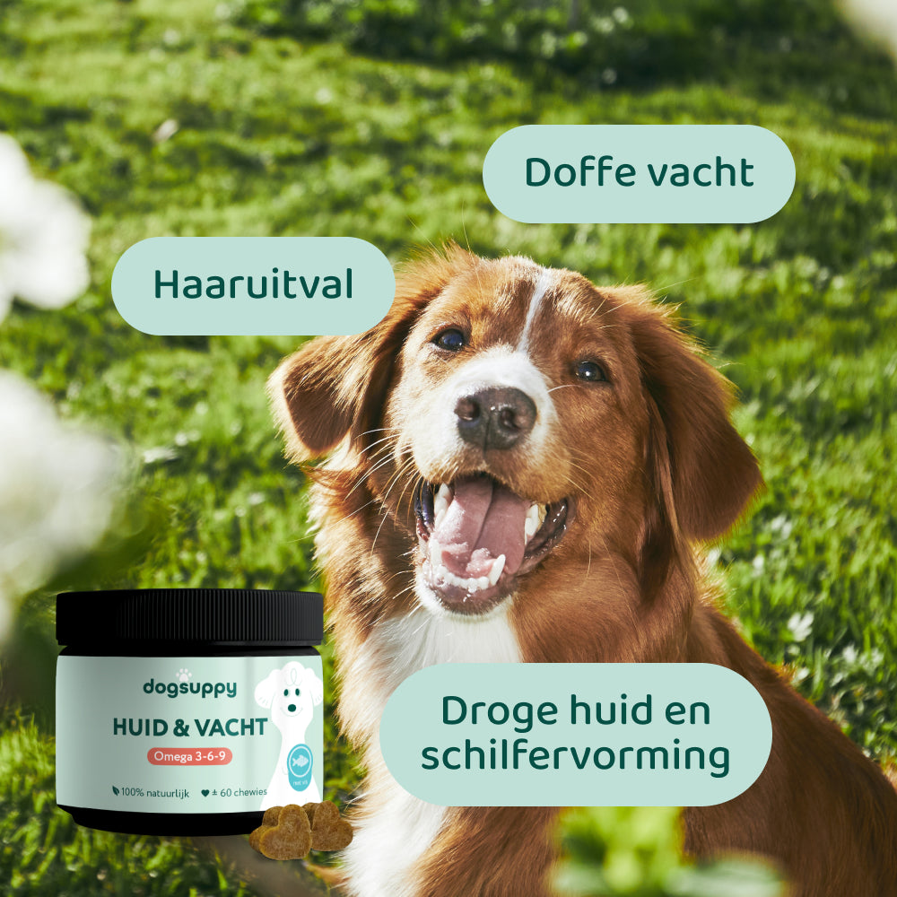 [BUN] Mooie vacht