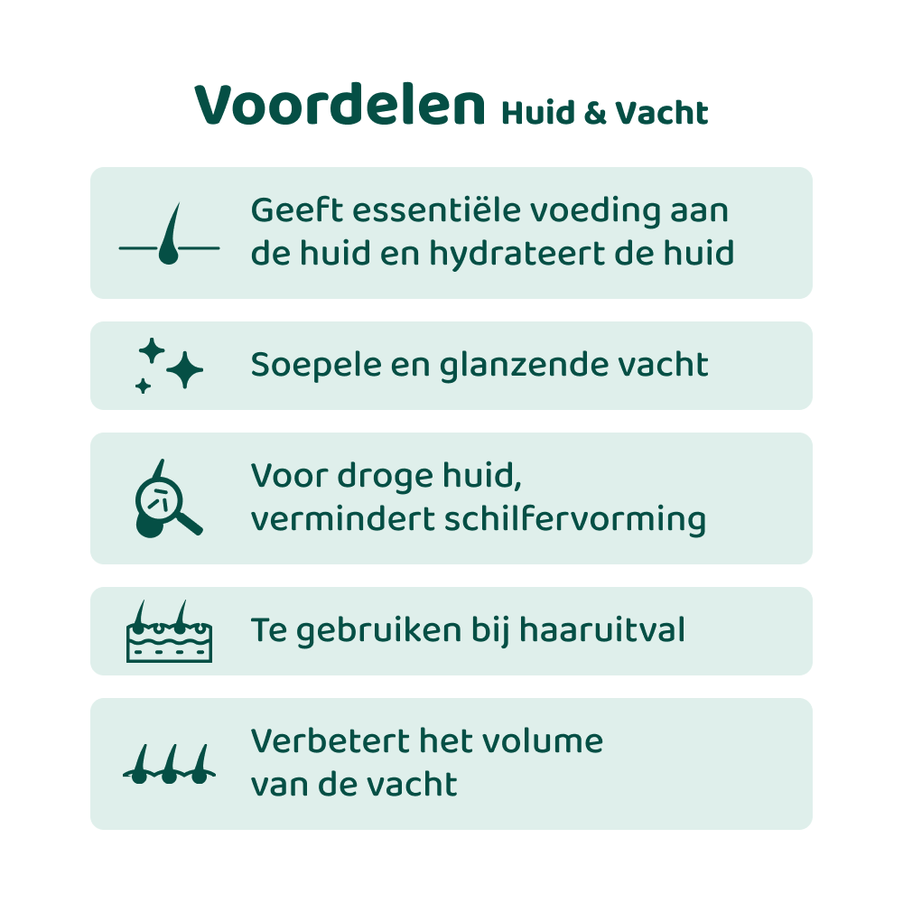 [BUN] Mooie vacht