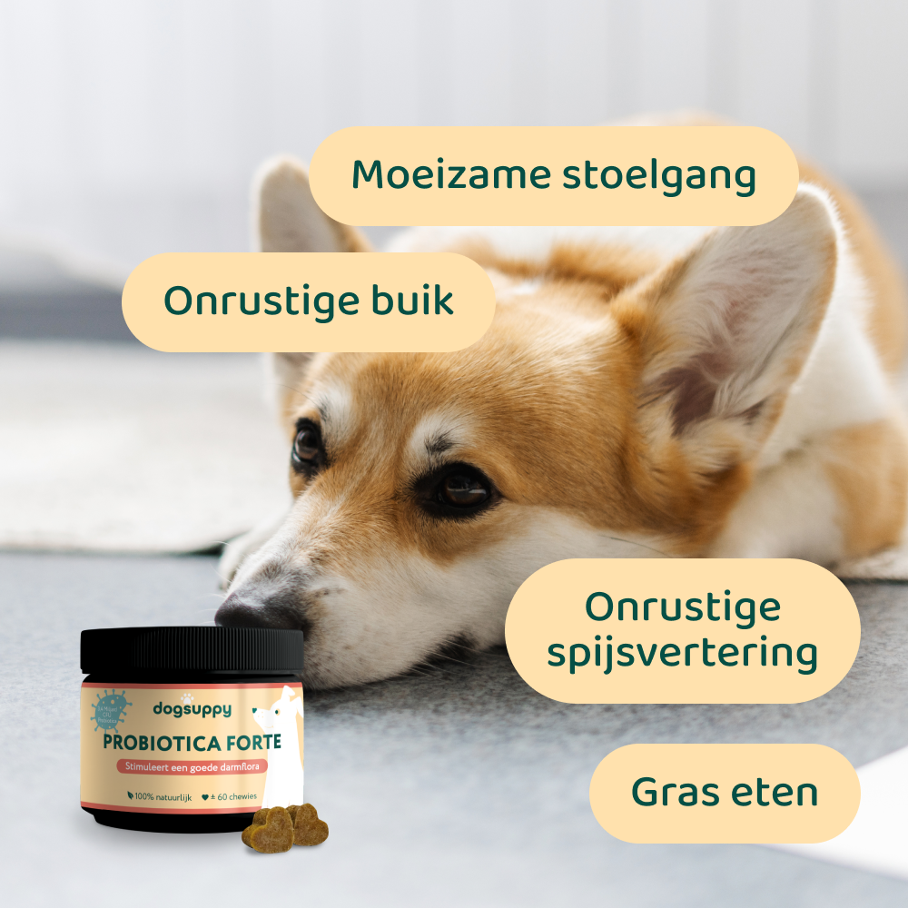 [BUN] Boost bundel