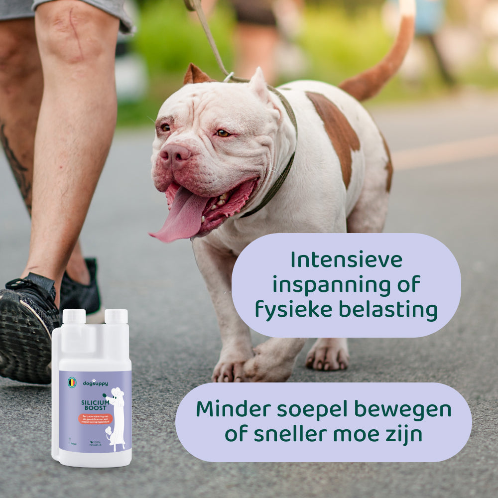 [BUN] Soepele Gewrichten