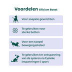 [BUN] Soepele Gewrichten