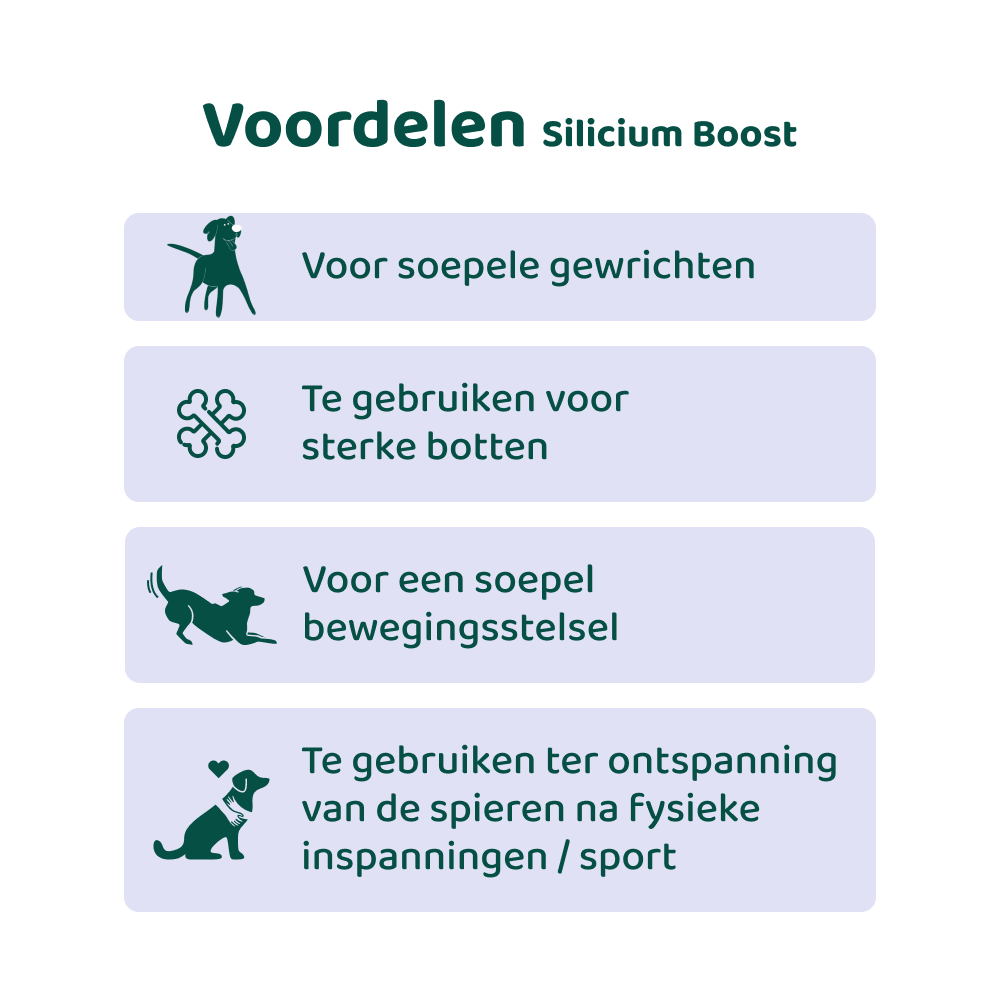 [BUN] Soepele Gewrichten