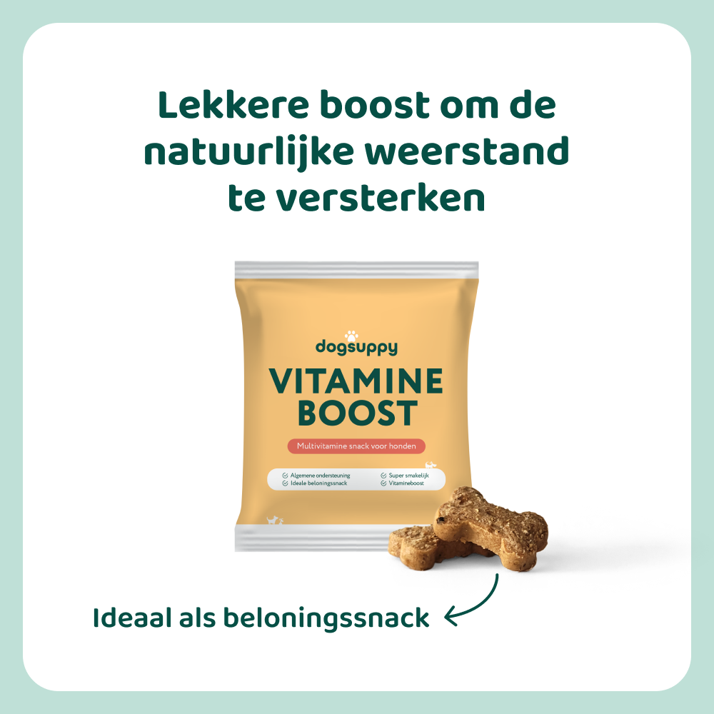 [BUN] Boost bundel