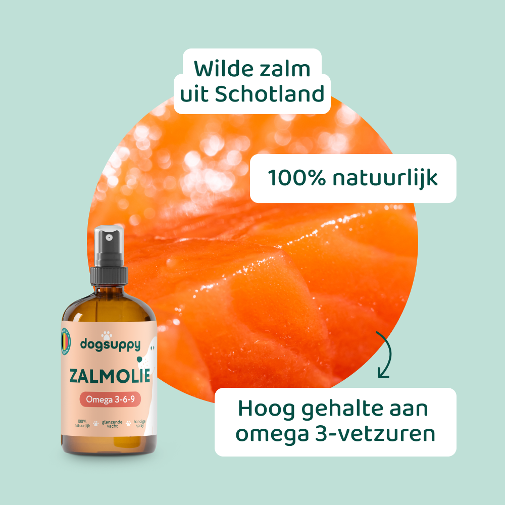 [BUN] Mooie vacht