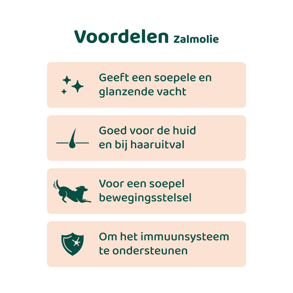 [BUN] Mooie vacht