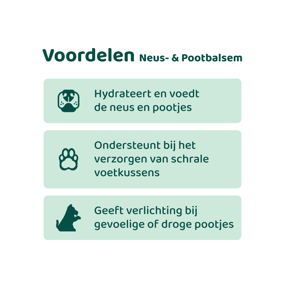 [BUN] Basisverzorging