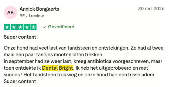 Review 2 Dental Bright
