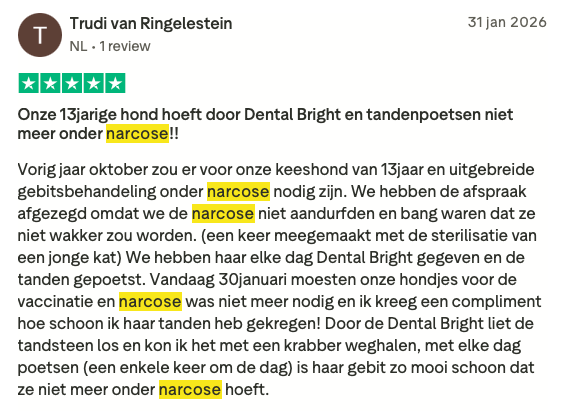 Review 3 Dental Bright