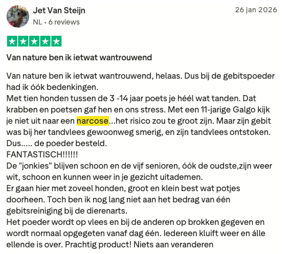 Review 4 Dental Bright