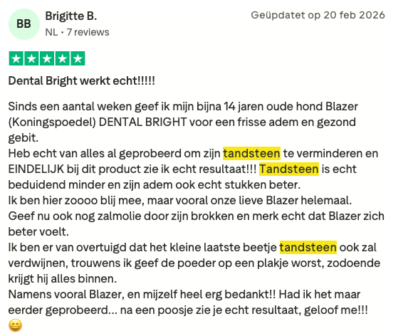 Review tandsteen 3