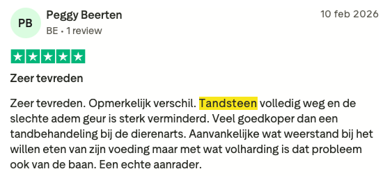Review tandsteen & tandplak 2