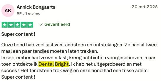 Review 12 Dental Bright