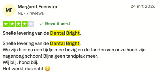 Review 11 Dental Bright