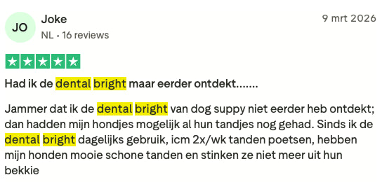 Review 10 Dental Bright