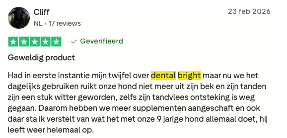 Review 7 Dental Bright
