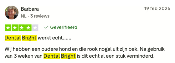 Review 6 Dental Bright 