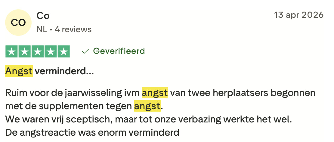 Review 6 Stress & Angst