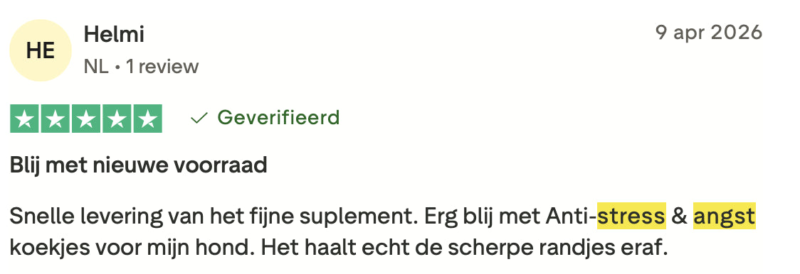 Review 5 Stress & Angst