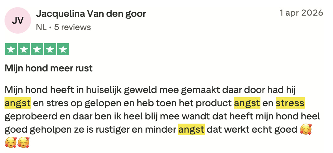 Review 4 Stress & Angst