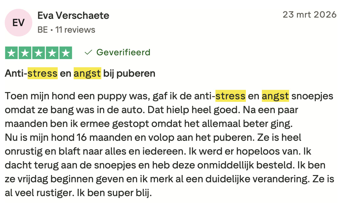 Review 3 Stress & Angst
