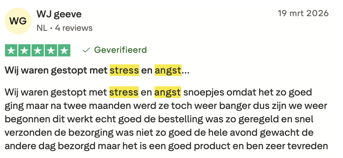 Review 1 Stress & Angst