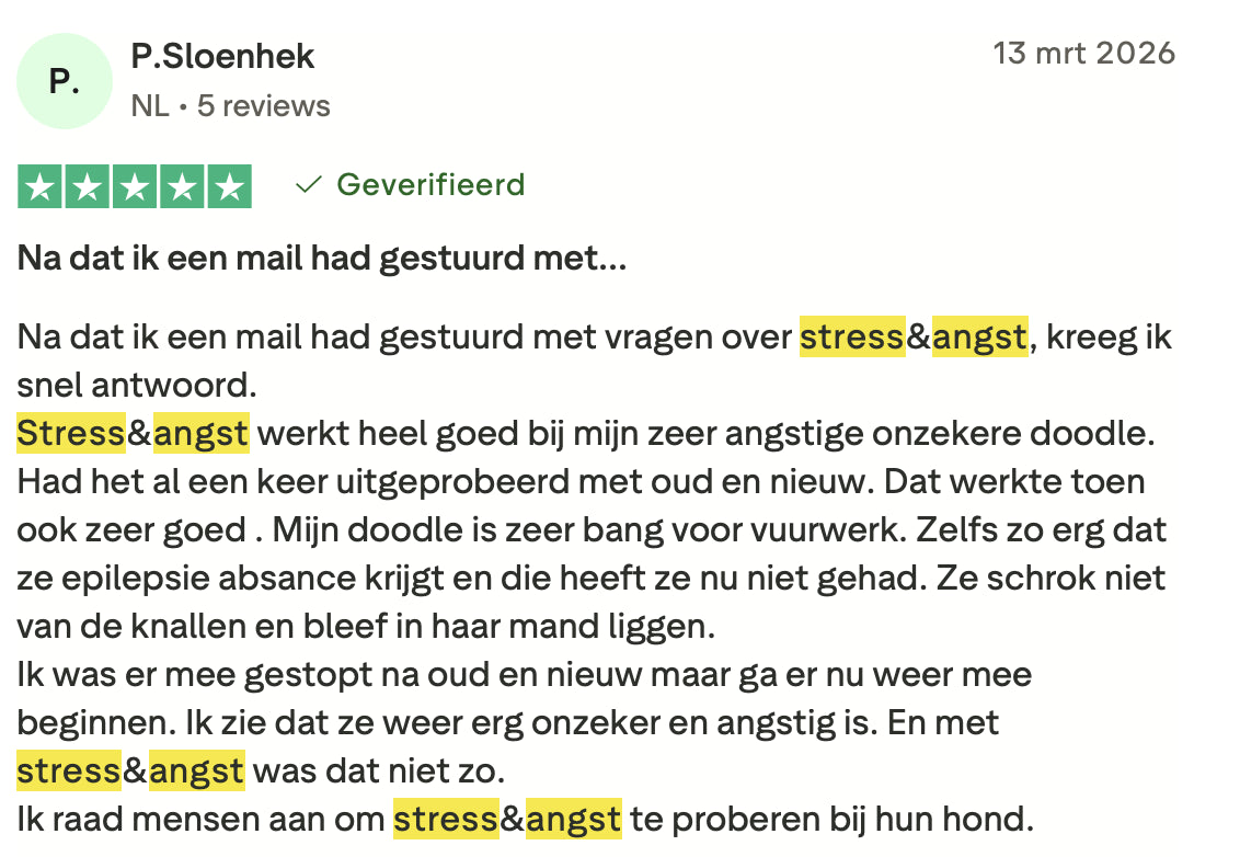 Review 10 Stress & Angst