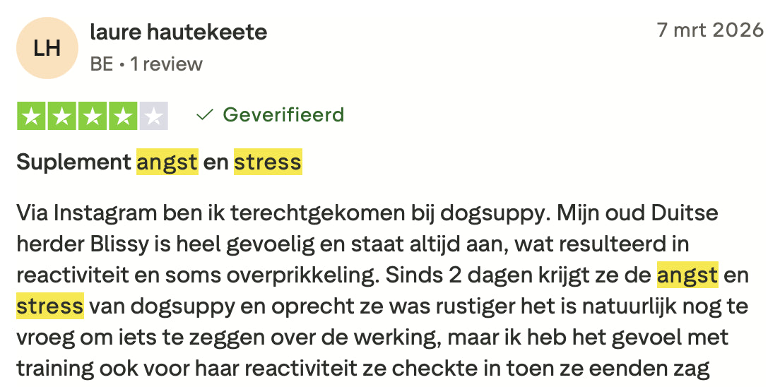  Review 9 Stress & Angst