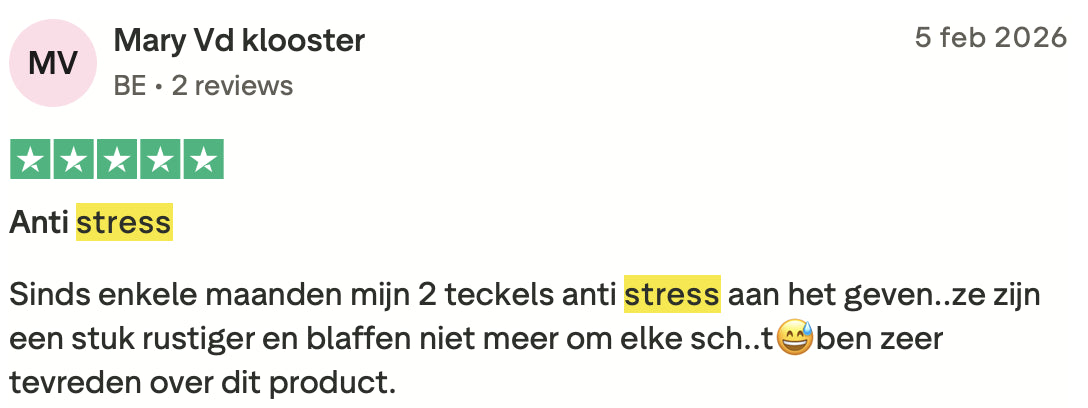 Review 7 Stress & Angst