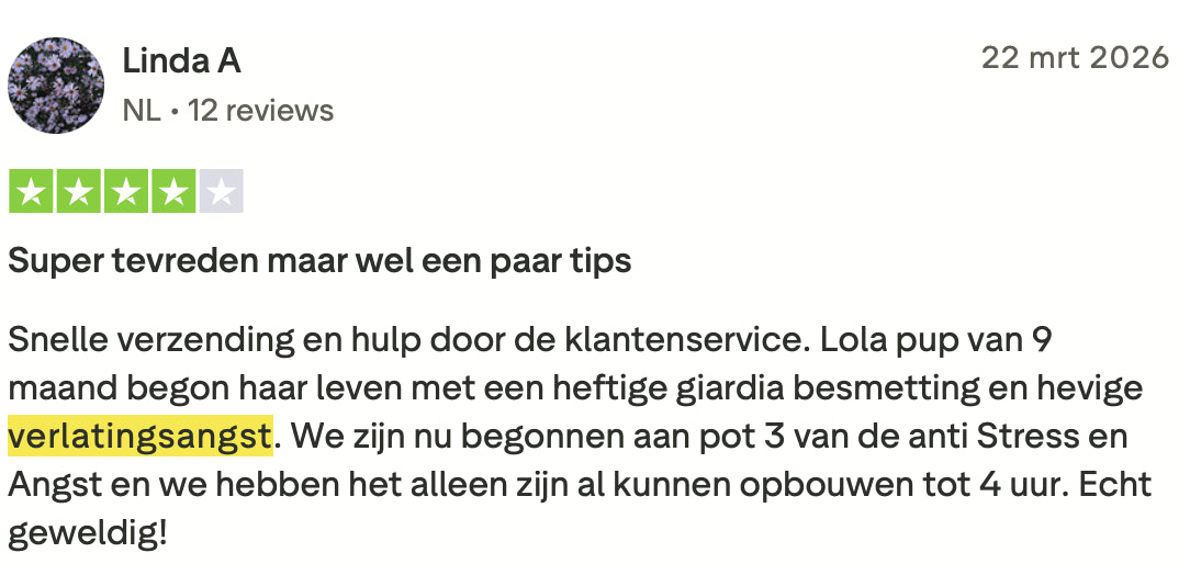 Review 5 verlatingsangst