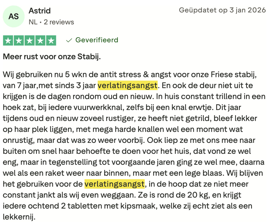 Review 4 verlatingsangst