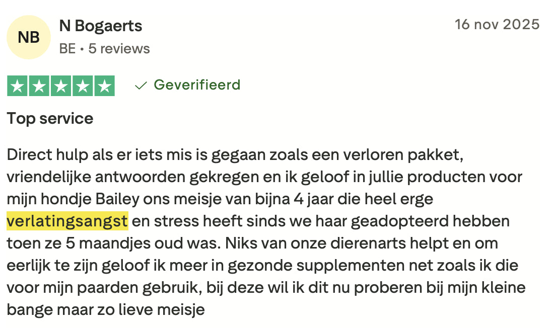 Review 2 verlatingsangst