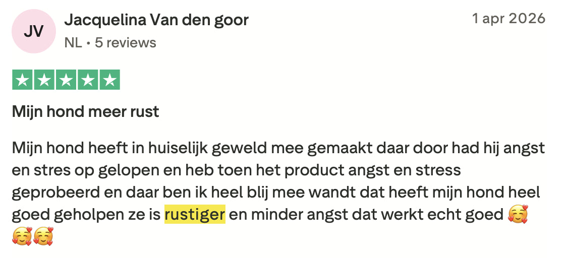 Review 6 meer rust