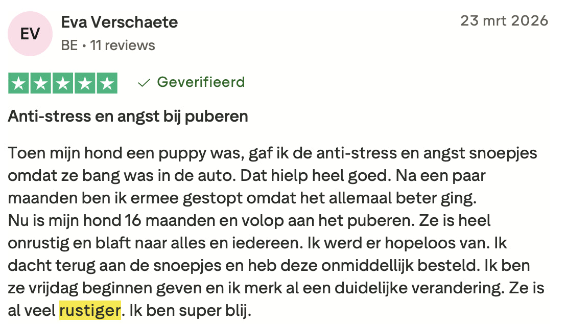 Review 5 meer rust