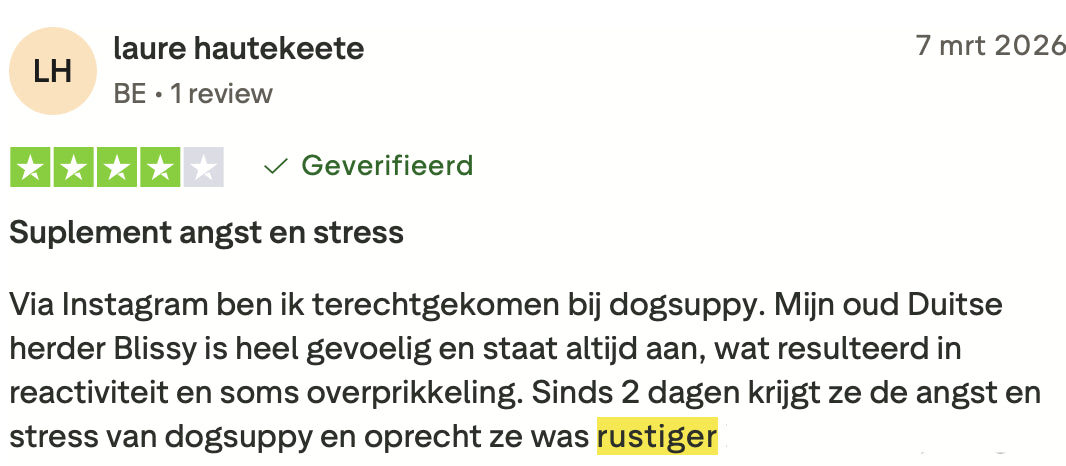 Review 3 meer rust