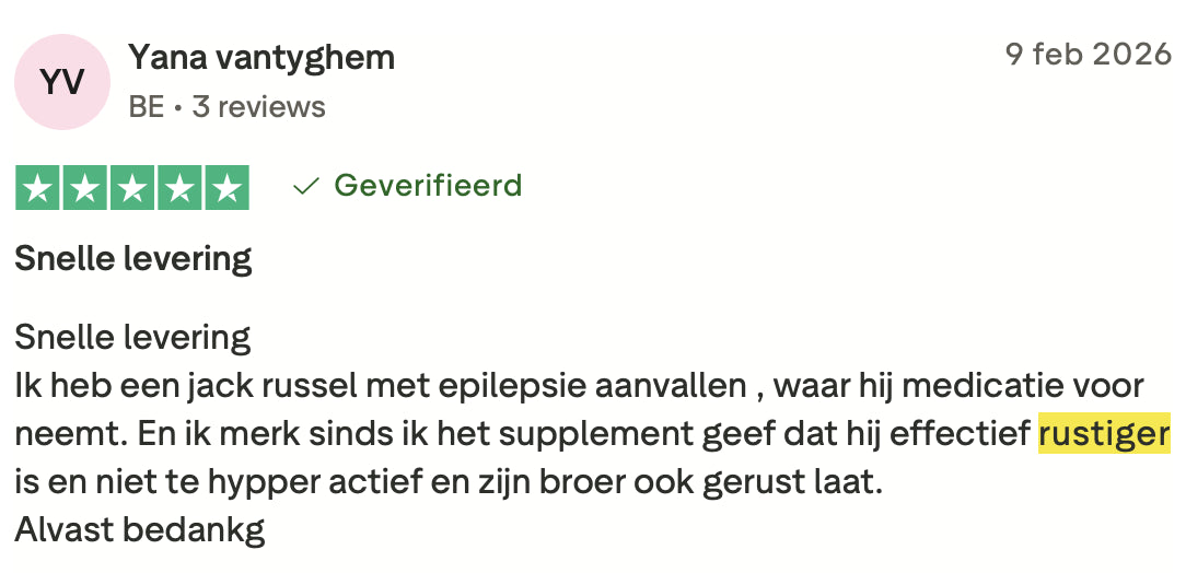 Review 2 meer rust