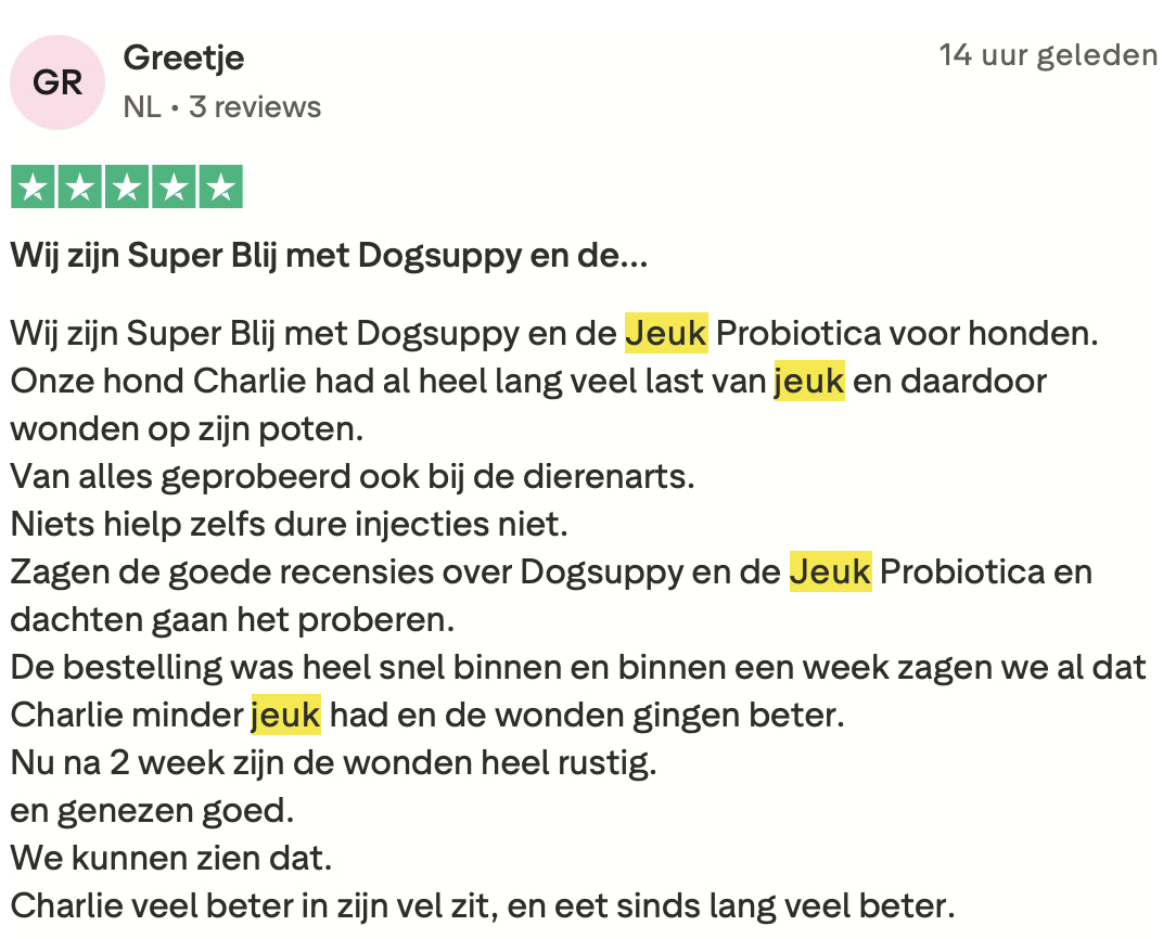 Review 6 Anti-Jeuk