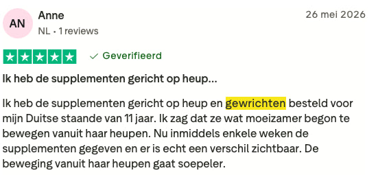 Review 9 H&G