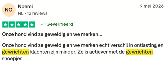 Review 8 H&G