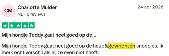 Review 6 H&G