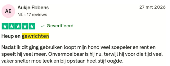 Review 5 H&G