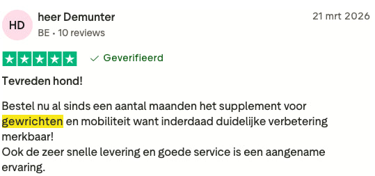 Review 4 H&G