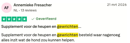 Review 3 H&G