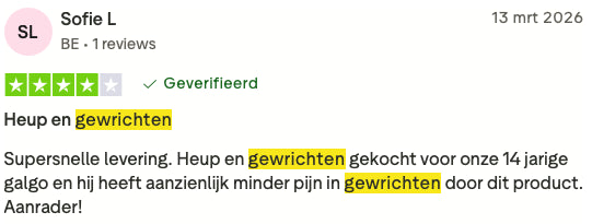 Review 2 H&G