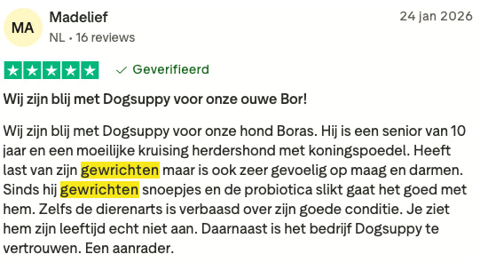 Review 13 H&G