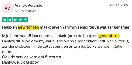 Review 16 H&G